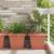 Tavă Pătrată pentru Flori 6 pcs Roșu cărămidă 36 x 36 x 2.5 cm GartenMobel Dekor