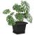 Tavă Pătrată pentru Flori 6 pcs Negru 15 x 15 x 2 cm Plastic GartenMobel Dekor