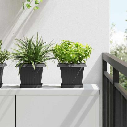 Tavă Pătrată pentru Flori 6 pcs Negru 15 x 15 x 2 cm Plastic GartenMobel Dekor