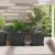 Tavă Pătrată pentru Flori 6 pcs Negru 25,5 x 25,5 x 2,5 cm GartenMobel Dekor