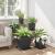 Tavă Pătrată pentru Flori 6 pcs Negru 32 x 32 x 2,5 cm Plastic GartenMobel Dekor