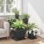 Tavă Pătrată pentru Flori 6 pcs Negru 36 x 36 x 2.5 cm Plastic GartenMobel Dekor