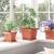 Tavă Pătrată pentru Flori 24 pcs Roșu cărămidă 18 x 18 x 2 cm GartenMobel Dekor