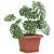 Tavă Pătrată pentru Flori 24 pcs Roșu cărămidă 21 x 21 x 2 cm GartenMobel Dekor
