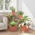 Tavă Pătrată pentru Flori 24 pcs Roșu cărămidă 21 x 21 x 2 cm GartenMobel Dekor
