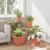 Tavă Pătrată pentru Flori 24 pcs Roșu cărămidă Plastic GartenMobel Dekor