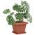 Tavă Pătrată pentru Flori 24 pcs Roșu cărămidă 32 x 32 x 2,5 cm GartenMobel Dekor