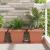 Tavă Pătrată pentru Flori 24 pcs Roșu cărămidă 32 x 32 x 2,5 cm GartenMobel Dekor