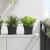 Tavă Pătrată pentru Flori 24 pcs Negru 15 x 15 x 2 cm Plastic GartenMobel Dekor