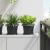 Tavă Pătrată pentru Flori 24 pcs Negru 18 x 18 x 2 cm Plastic GartenMobel Dekor