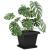 Tavă Pătrată pentru Flori 24 pcs Negru 32 x 32 x 2,5 cm Plastic GartenMobel Dekor
