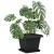 Tavă Pătrată pentru Flori 24 pcs Negru 36 x 36 x 2.5 cm Plastic GartenMobel Dekor