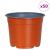Ghiveci rotund pentru flori 50 pcs Terracota Ø 10 x 8 cm GartenMobel Dekor
