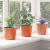 Vaza pentru flori 100 pcs Terracota Ø 15 x 13 cm Plastic GartenMobel Dekor