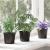 Ghiveci rotund pentru flori 100 pcs Negru Ø 10 x 8 cm Plastic GartenMobel Dekor