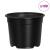 Ghiveci rotund pentru flori 100 pcs Negru Ø 10 x 8 cm Plastic GartenMobel Dekor