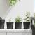 Vaza pentru flori 100 pcs Negru Ø 15 x 13 cm Plastic GartenMobel Dekor