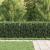 Gard cu țărușe Asten Negru GartenMobel Dekor
