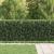 Gard cu țărușe Asten Negru 200 x 130 cm GartenMobel Dekor