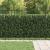 Gard cu țărușe Asten Negru 200 x 200 cm GartenMobel Dekor