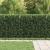 Gard cu țărușe Asten Negru 200 x 130 cm GartenMobel Dekor