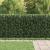 Gard cu țărușe Asten Negru GartenMobel Dekor