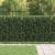 Gard cu țărușe Asten Negru 200 x 200 cm GartenMobel Dekor