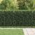 Gard Arcuș cu Vârfuri DRONTEN Negru GartenMobel Dekor