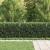 Zăbrele in Formă de Inel TILBURG Negru GartenMobel Dekor