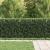Zăbrele in Formă de Inel TILBURG Negru GartenMobel Dekor