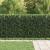 Zăbrele in Formă de Inel TILBURG Negru GartenMobel Dekor
