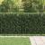 Zăbrele in Formă de Inel TILBURG Negru GartenMobel Dekor