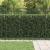 Gard cu Vârfuri BAARLO Negru GartenMobel Dekor