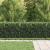 Gard Spike Ring HORST Negru GartenMobel Dekor