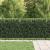 Gard Spike Ring HORST Negru GartenMobel Dekor