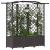 Pat Ridicat cu Trellis și Acoperiș Maro 163 x 40 x 141 cm PP GartenMobel Dekor