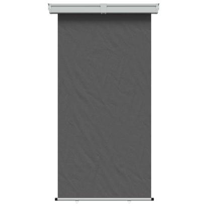 Awning lateral pentru balcon 100% poliester, fier, oțel GartenMobel Dekor
