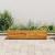Strat înălțat de grădină, 100x30x25 cm, lemn de acacia  GartenMobel Dekor