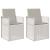 Scaune de Dining pentru Grădină 2 pcs Alb și gri deschis PP GartenMobel Dekor
