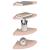 Raft suspendat cu raft cu depozitare 4 pcs Roz 24 x 24 x 2 cm GartenMobel Dekor