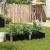 Jardinieră de grădină, negru, 150x50 cm, lemn masiv pin GartenMobel Dekor