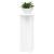 Suport pentru plante 2 pcs Alb Ø40 x 80 cm Lemn prelucrat GartenMobel Dekor