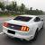 Ornament Geam Spate Luneta FORD Mustang Sixth Generation (2015-2019) Performance AutoTuning