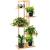 Suport pentru ghivece de flori, lemn, 5 niveluri, 6 locuri, 40x20x102 cm, Springos GartenVIP DiyLine