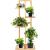 Suport pentru ghivece de flori, lemn, 5 niveluri, 6 locuri, 40x20x102 cm, Springos GartenVIP DiyLine