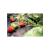 Folie antiburuieni, textila, neagra, 50 g/m2, 1.6x50 m GartenVIP DiyLine