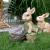 Decoratiune gradina, ceramica, iepure cu roaba, 40x19.5x34 cm GartenVIP DiyLine
