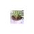 Sistem irigatii prin picurare, 64 piese, GardenLine GartenVIP DiyLine