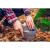 Oala si tigaie turistica, camping, aluminiu, cu accesorii, set 8 piese, NEO  GartenVIP DiyLine