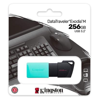 FLASH DRIVE 256GB DTXM USB 3.2 KINGSTON EuroGoods Quality